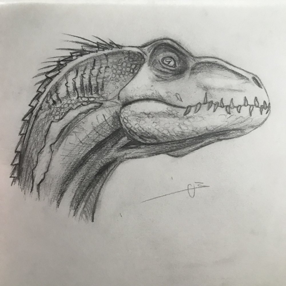 Динозавр рисунок реалистичный