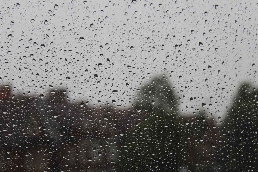 Дождь из окна