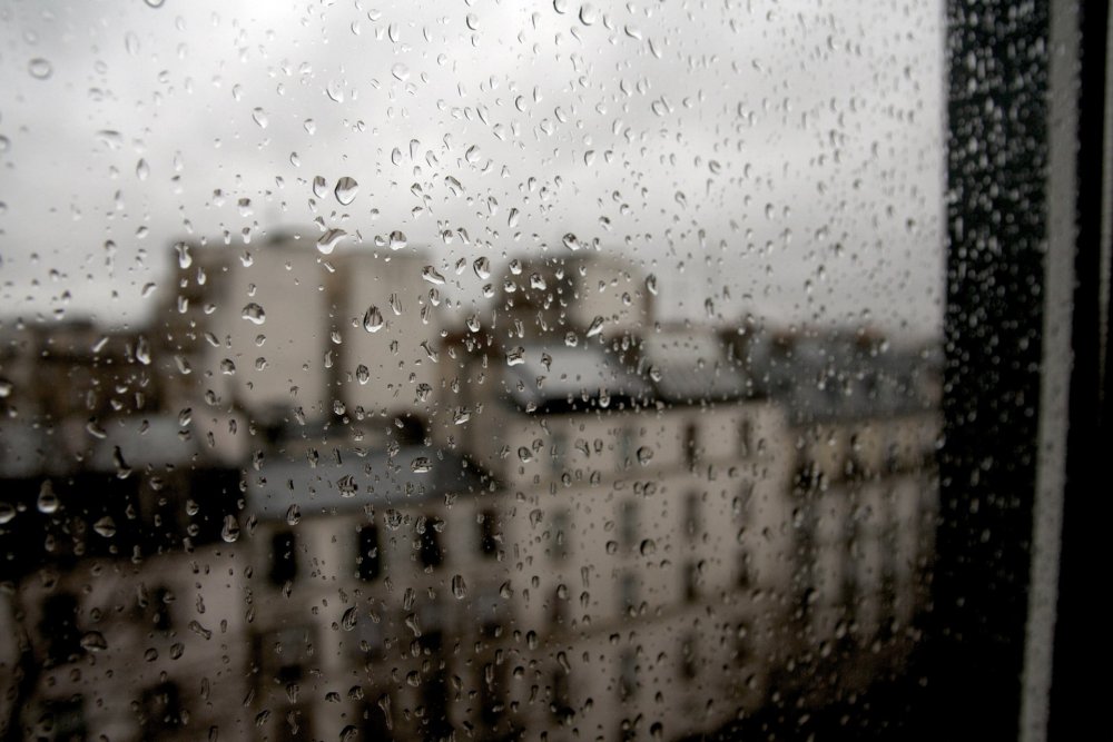 Вид из окна дождь