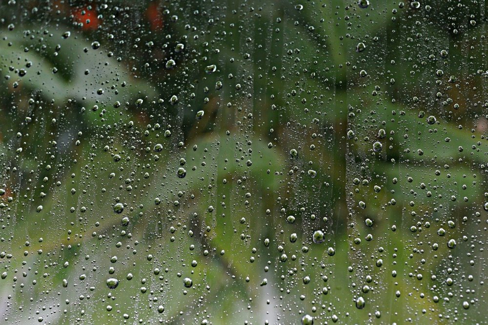 Окно с видом на дождь