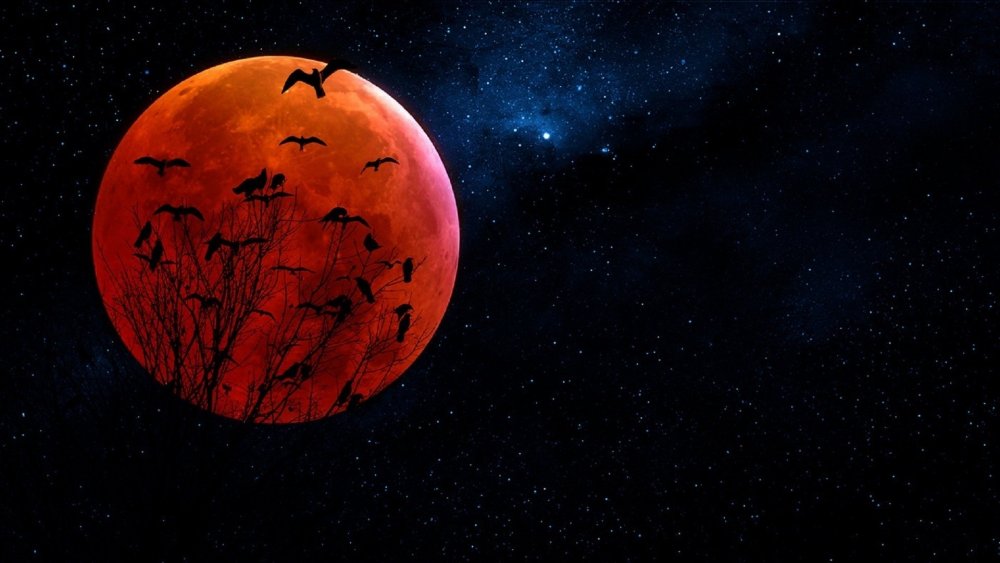 Кровавая Луна арт