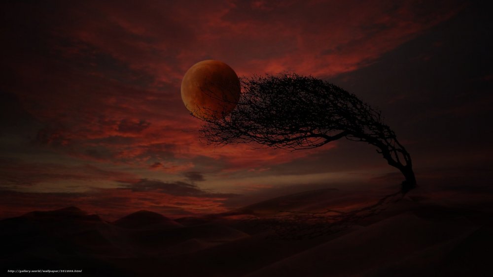 Кровавая Луна пустыня