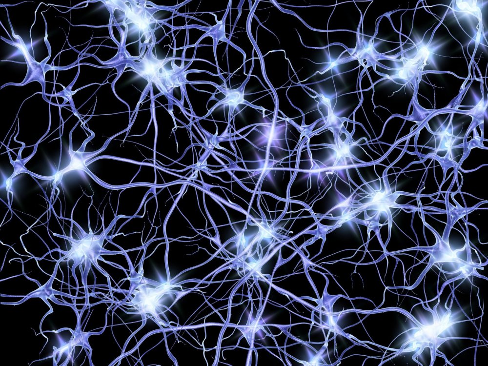 Нейронная сеть создает изображение. Нейрон в нейронной сети. Нейронная система мозга. Нейронная сеть головного мозга человека. Нейросеть Нейроны.