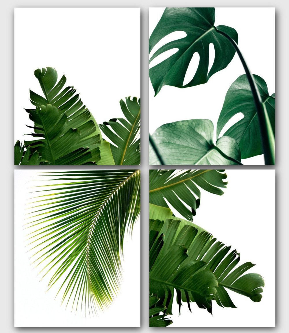 Картина пальмовые листья