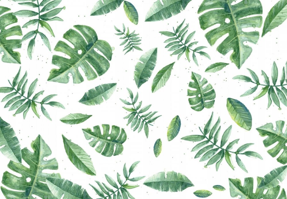 Зеленые листья тропики