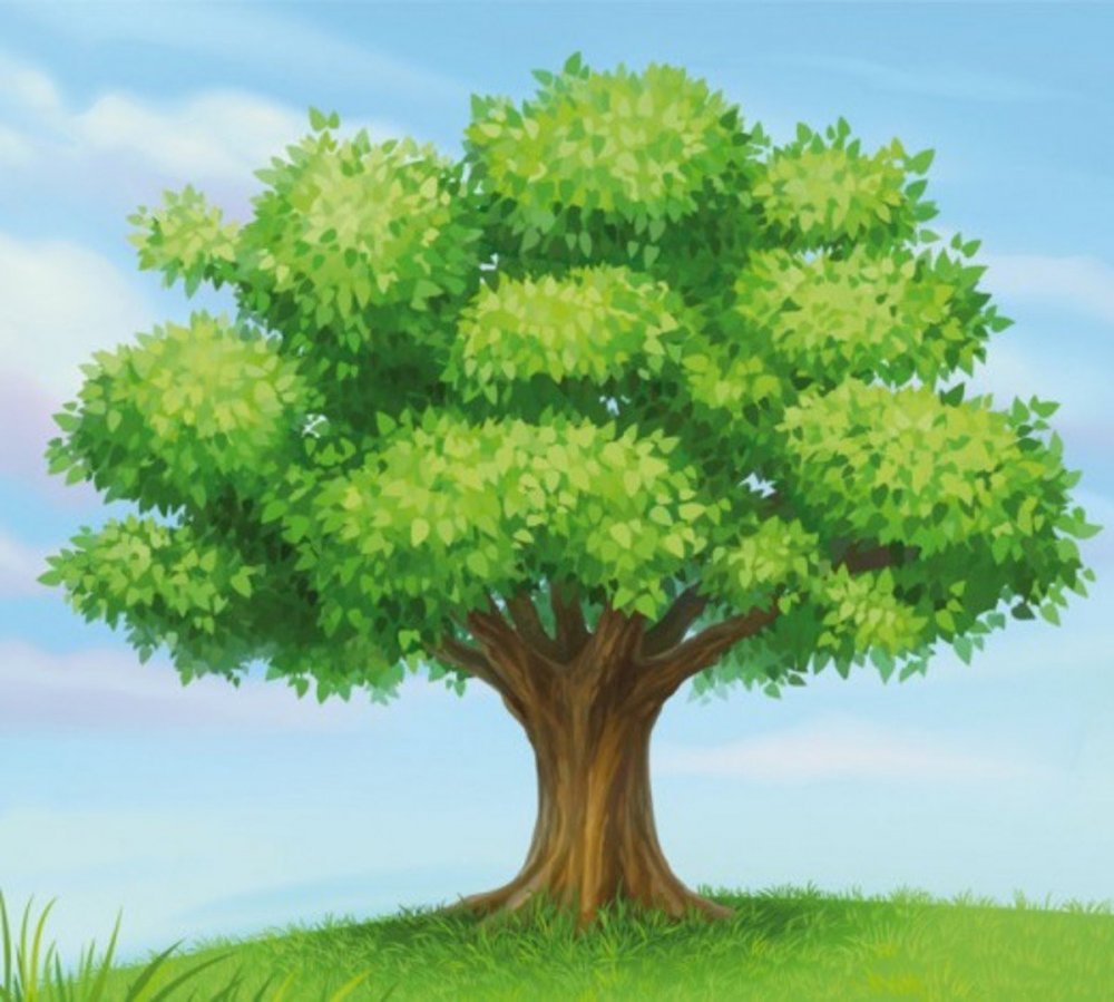 Рисунок большого дерева для генеалогического дерева