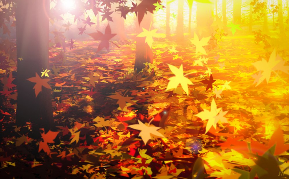 Осенний лес листопад