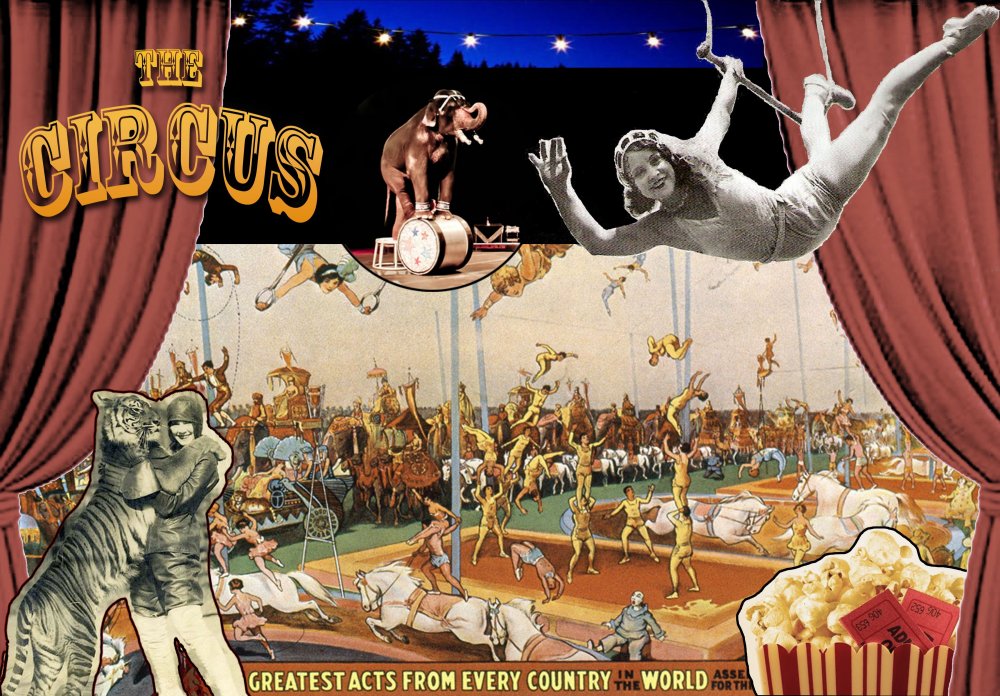 Американский цирк