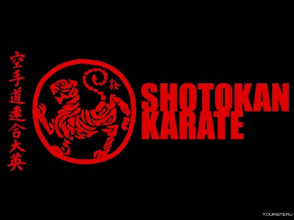 Шотокан каратэ-до логотип