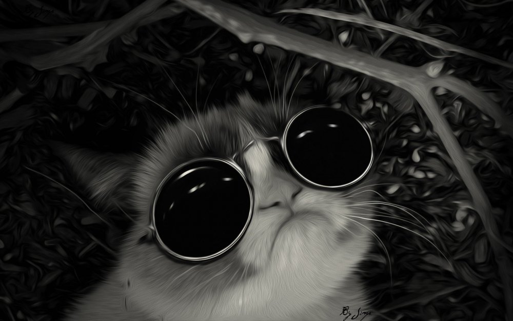Кот в круглых очках