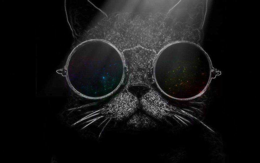Кот в черных очках