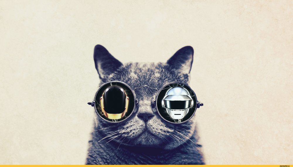 Кот с очками космос
