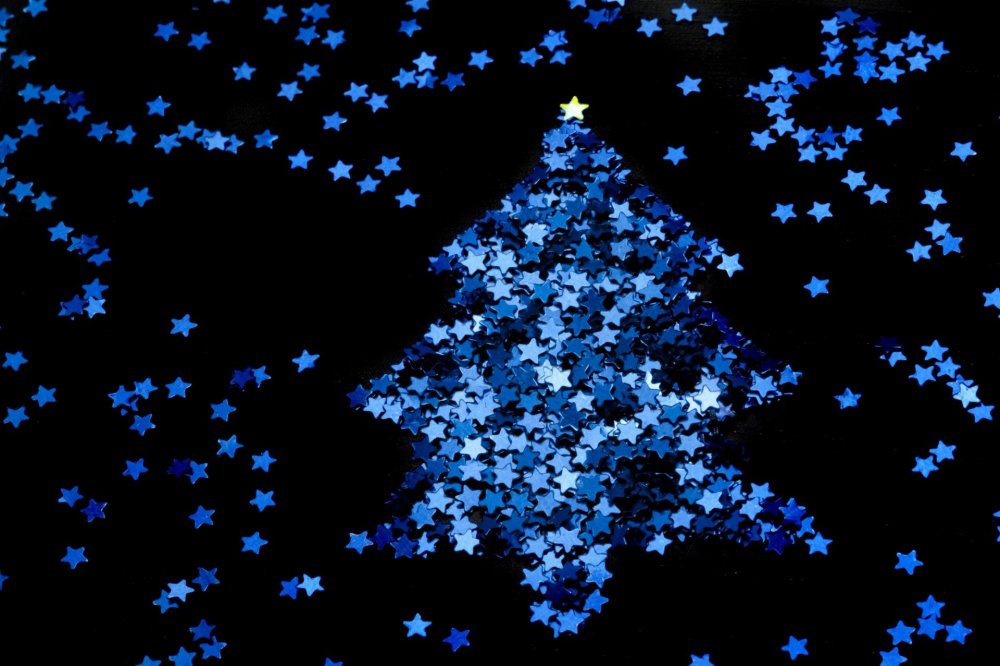 Рождественские елки на синем фоне