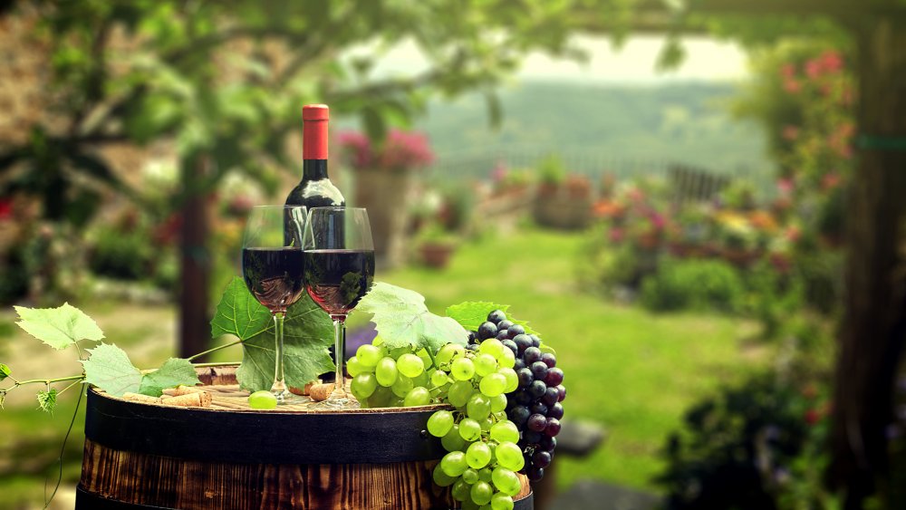 Вино на фоне пейзажа