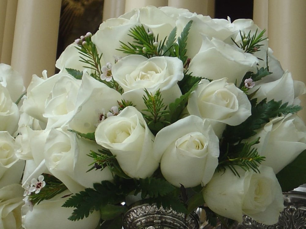 Открыточка белые розы