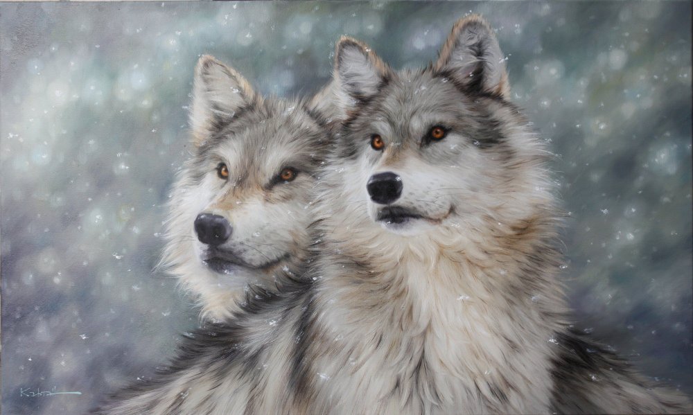 Волки любовь снег зима