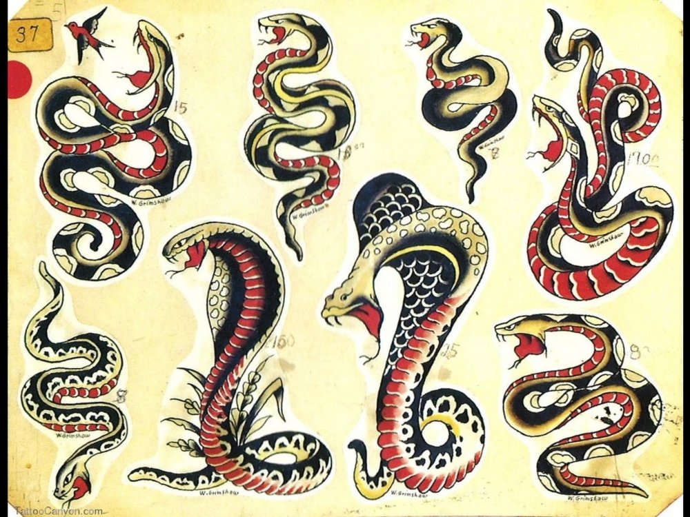 Змея традишнл