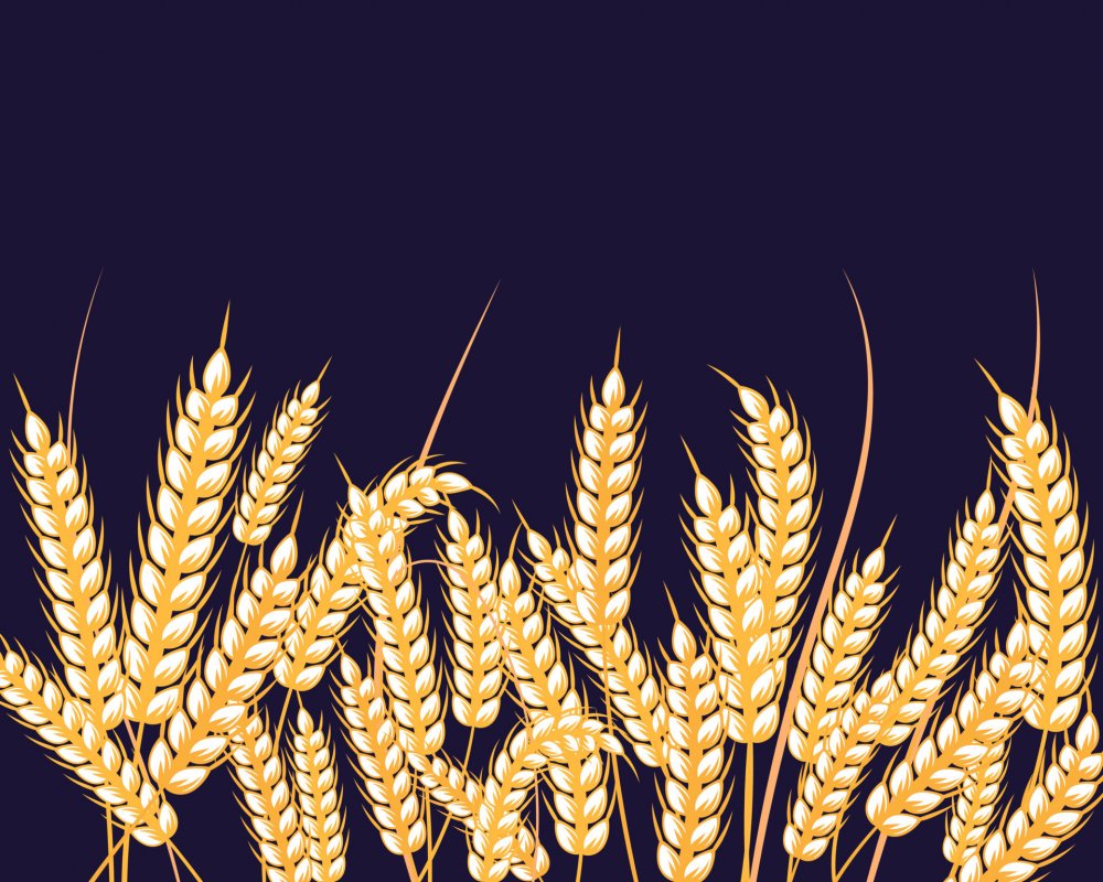 Обложка экономист с колосками пшеницы