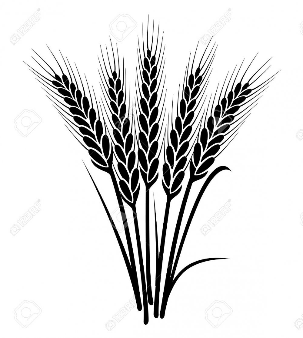 Пшеница тату эскиз
