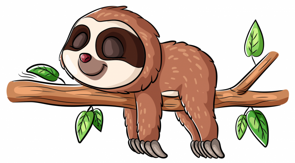 Рисунок ленивца на ветке дерева