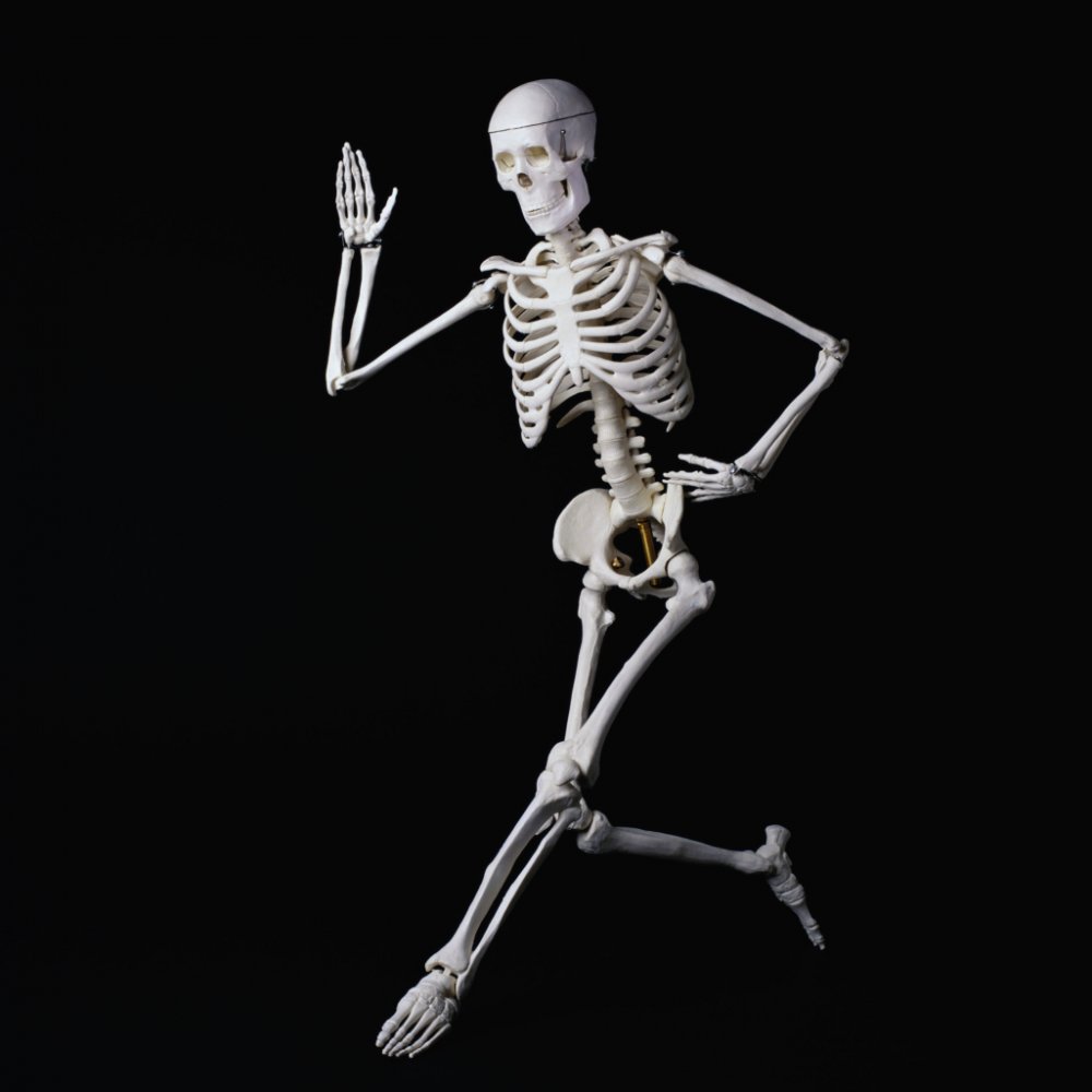 Крепкий скелет