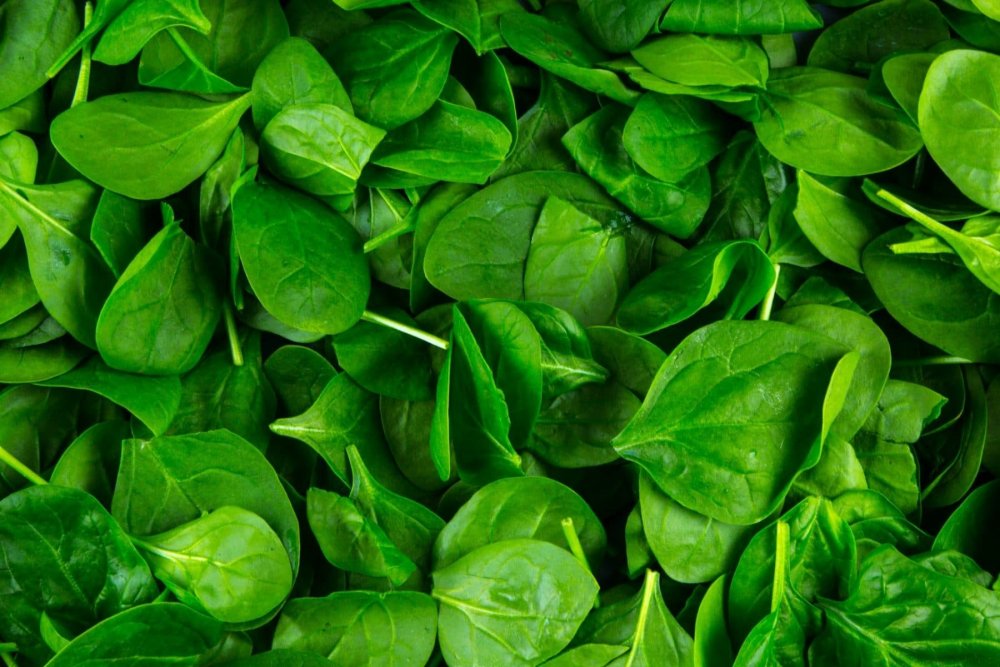 Зелень апреля Кресс-салат шпинат