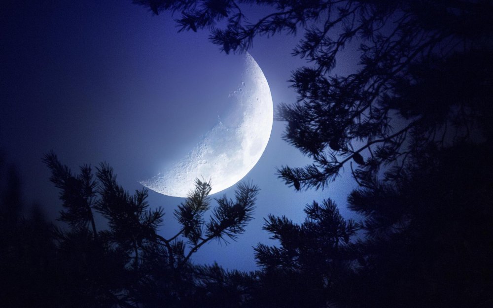 Лунная ночь