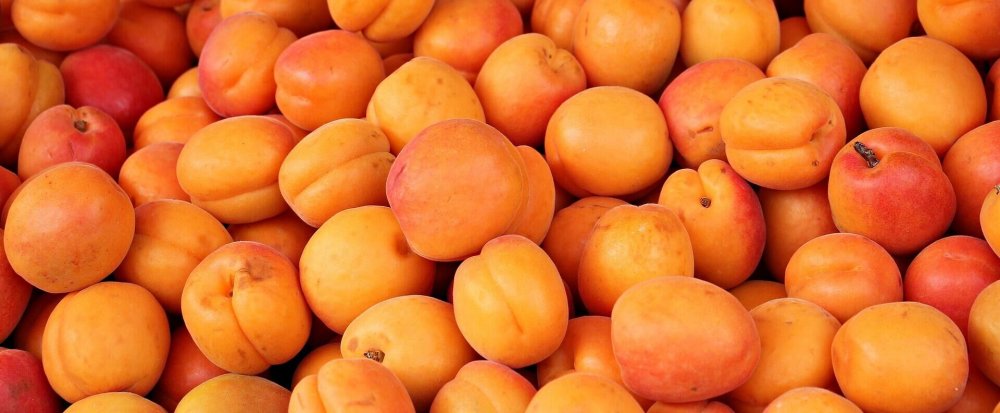 Оранжевый персик