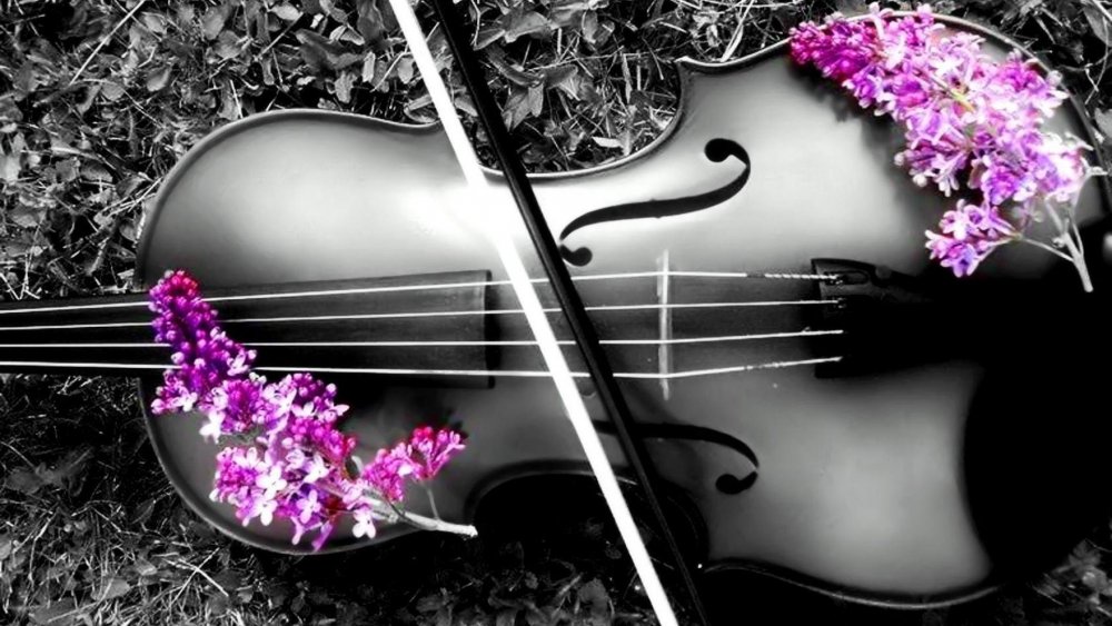 Скрипка на фоне цветов