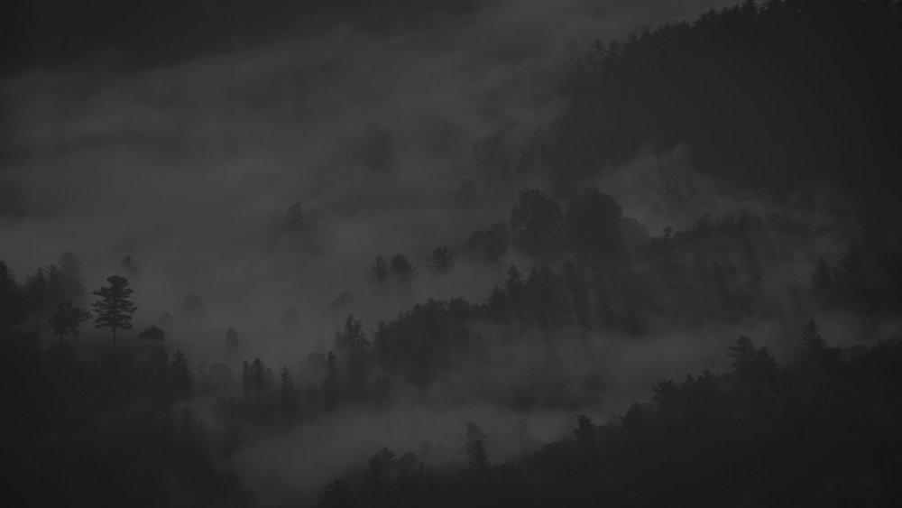 Туман в темноте