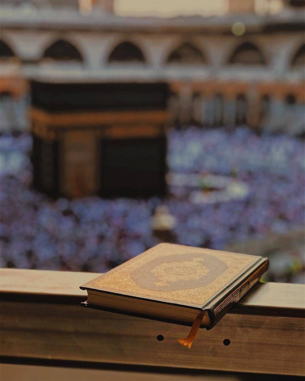 Красивый розовый Коран