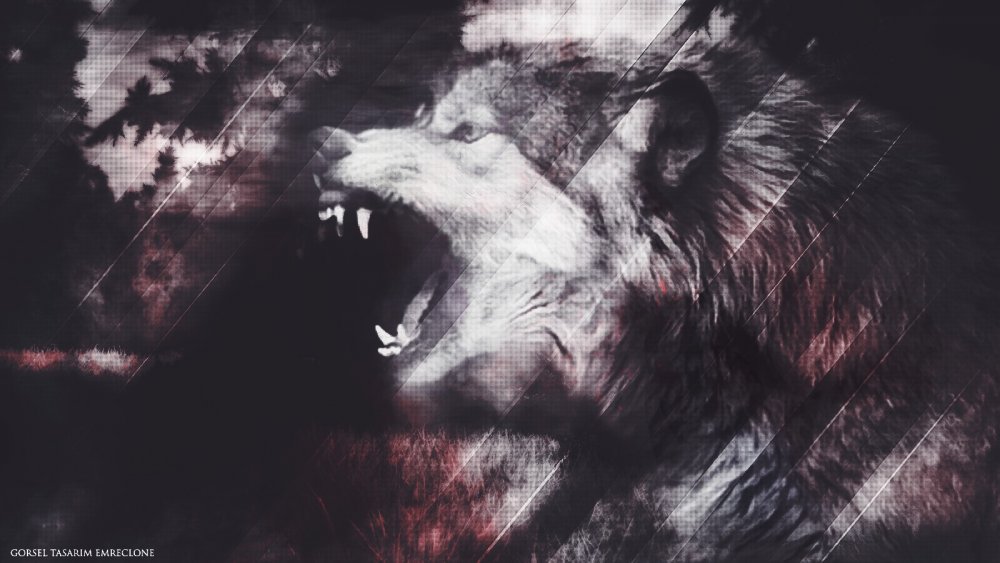 Картинки волчий оскал