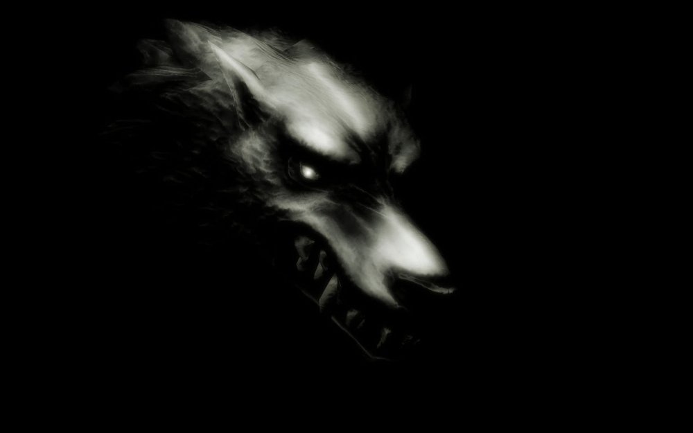 Волк оскал