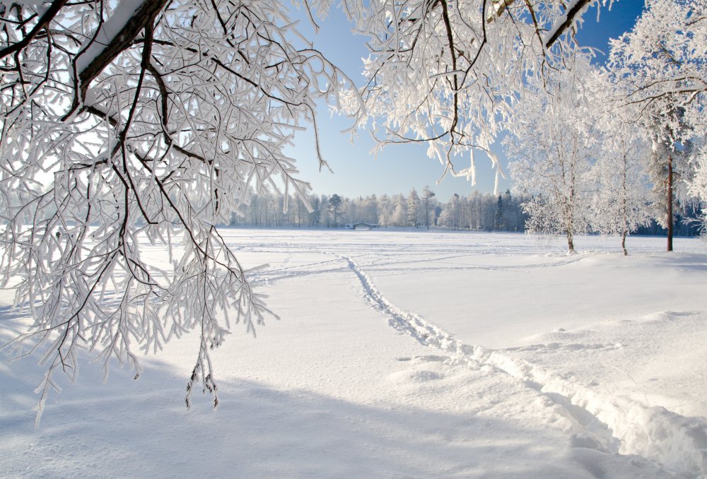Снежный пейзаж