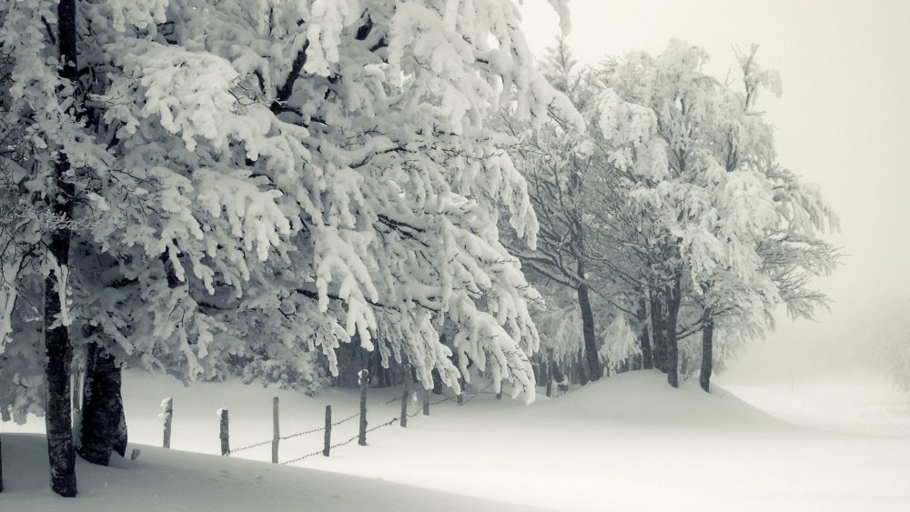 Красивые зимние пейзажи на обложку в Одноклассниках
