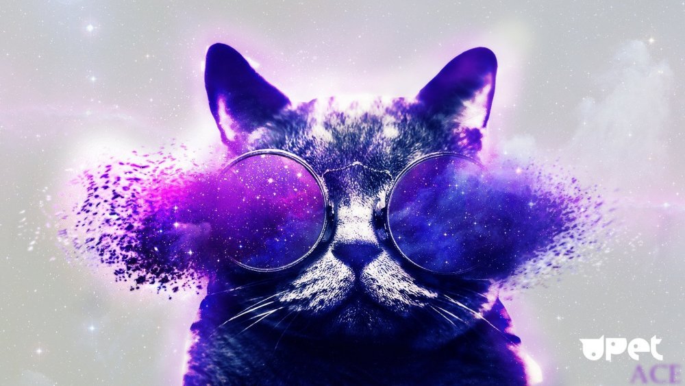 Котик в очках с космосом