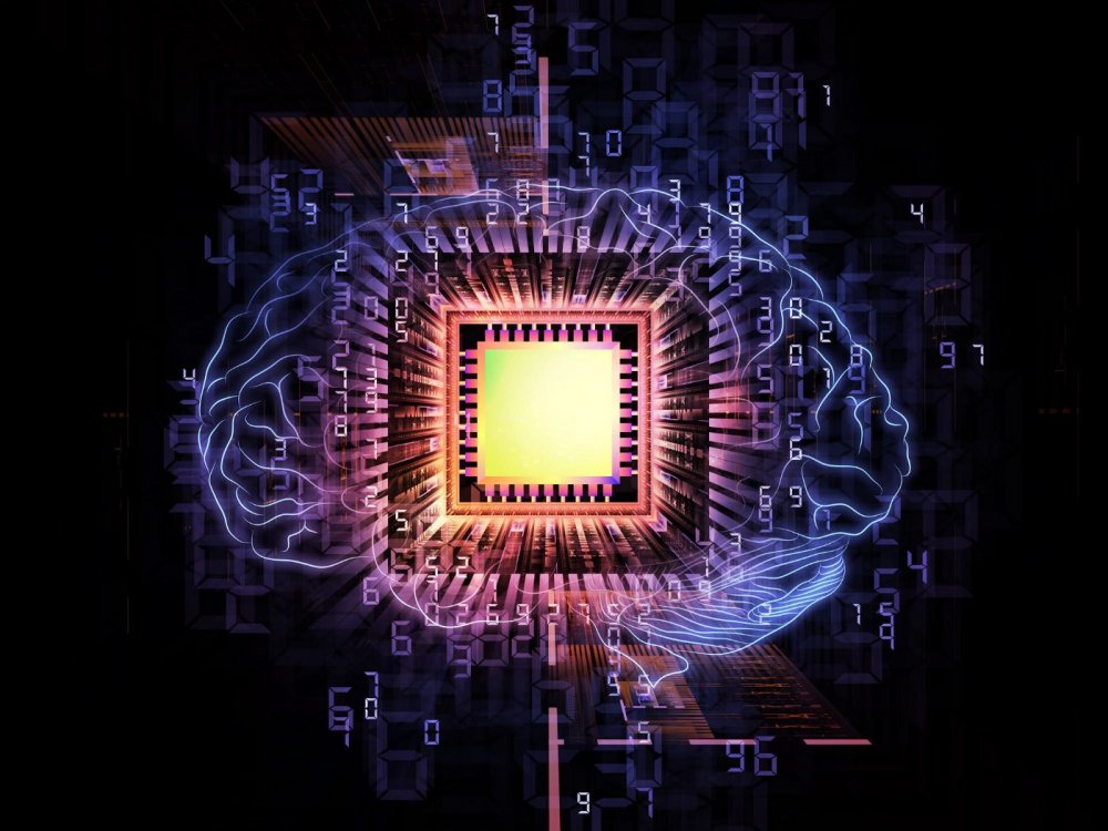 Тобермори нейрокомпьютер