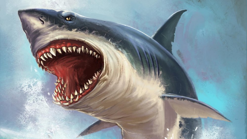 Картинки акулы мегалодон