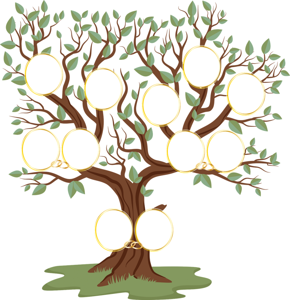 Митюковы генеалог дерево
