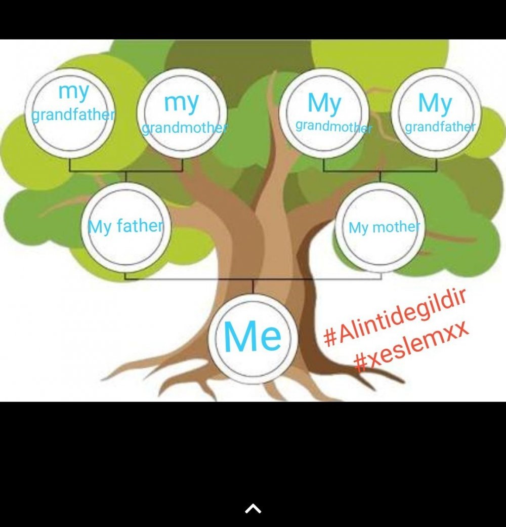 Генеалогическое Древо Family Tree