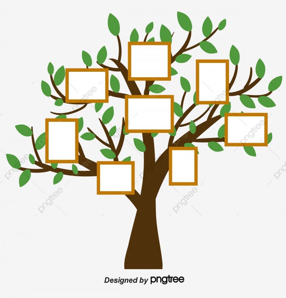 Ствол дерева для генеалогического дерева