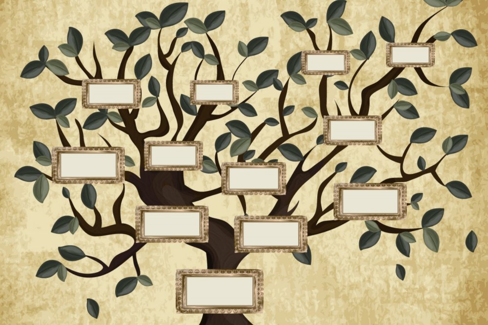Конфуций дерево генеалогическое дерево