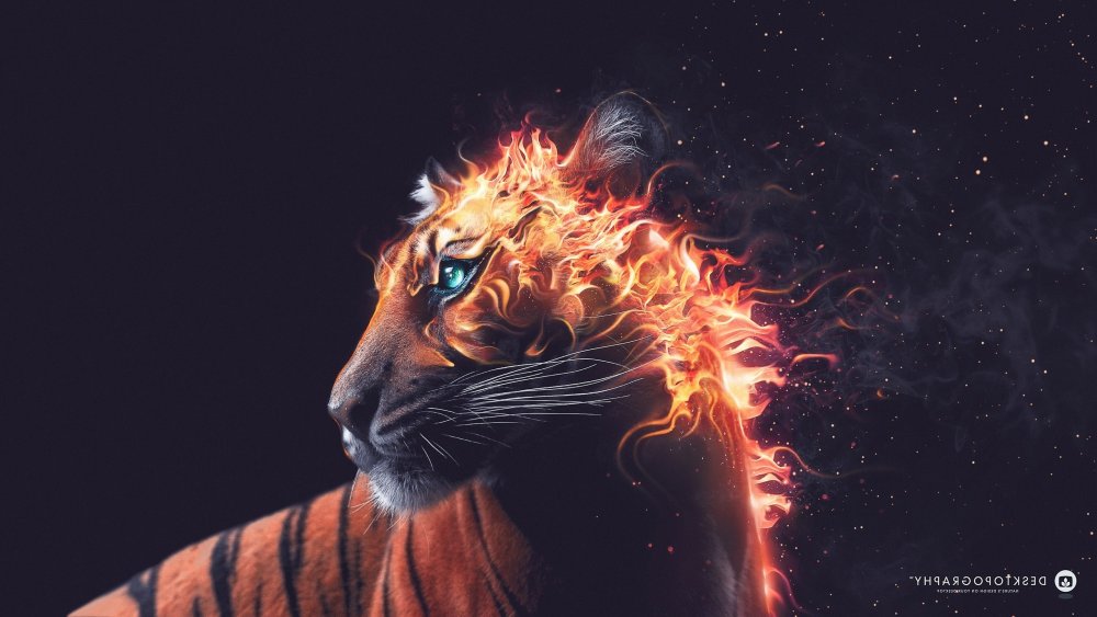 Тигр в огне