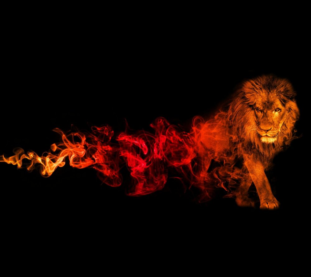 Огненный Лев на черном фоне