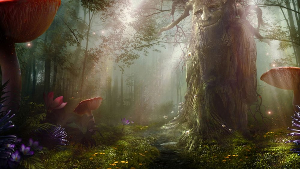 Зачарованный лес мультфильм