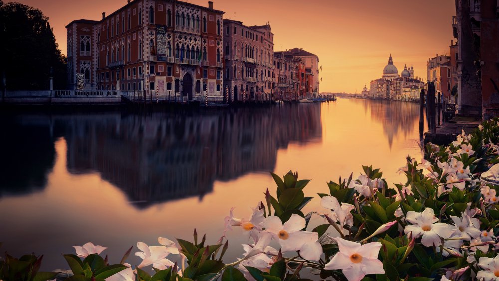 Венеция Италия лето