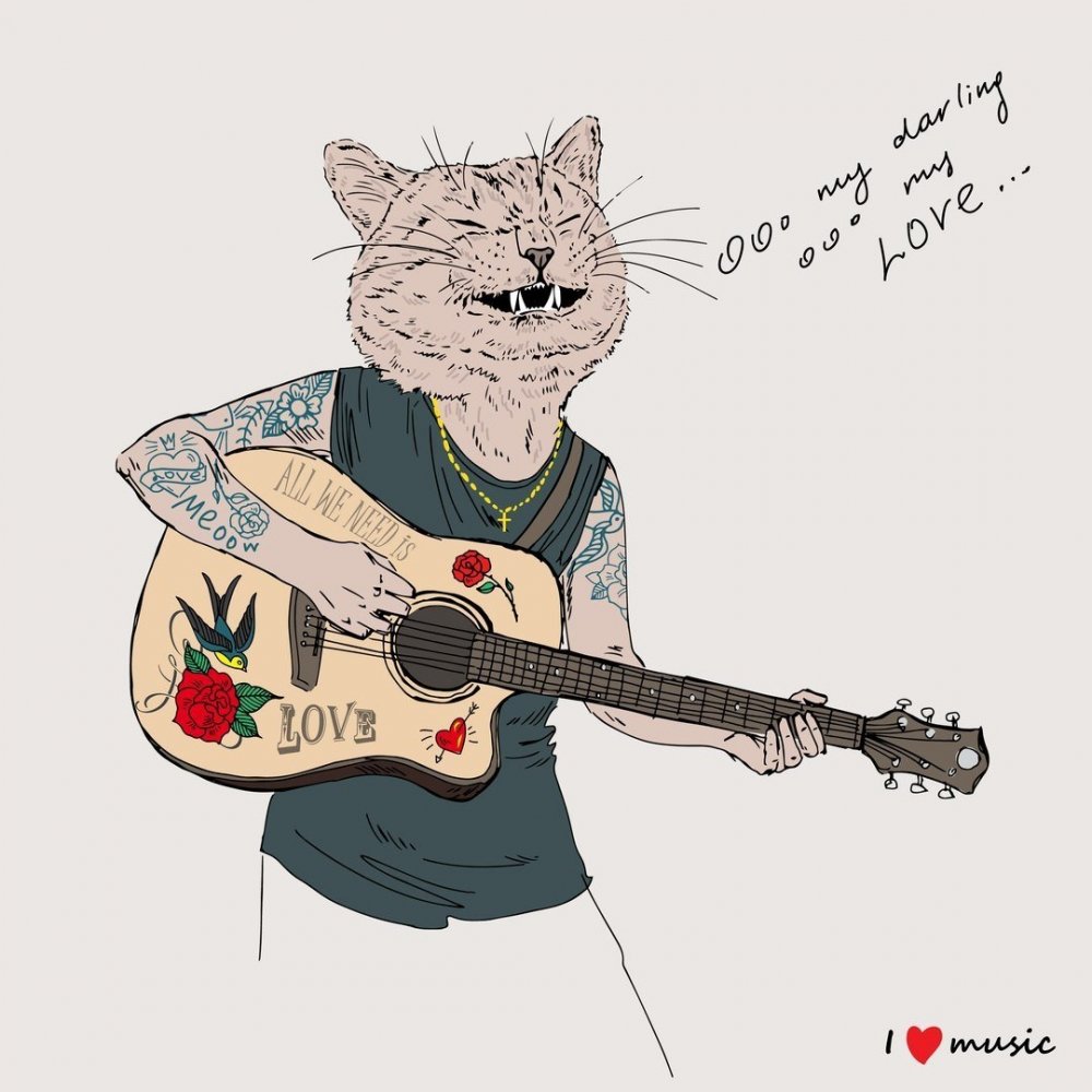 Кот в очках с гитарой