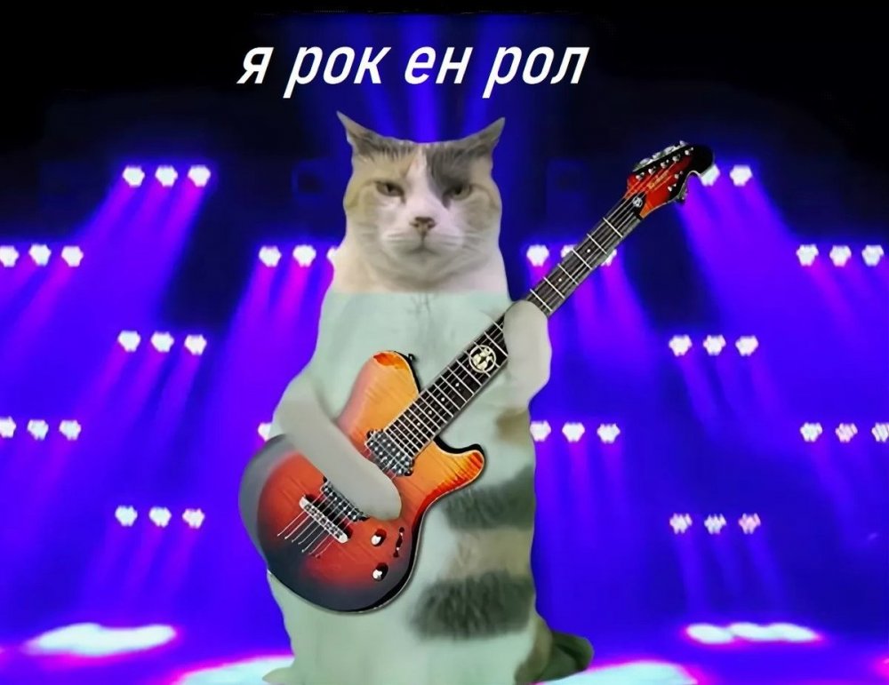 Коты музыканты