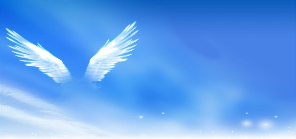 Крылья в небе