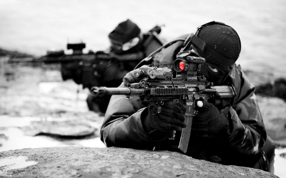 Aimpoint Navy Seal
